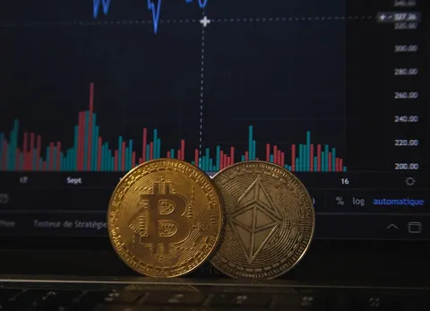 Bear standing on bitcoins