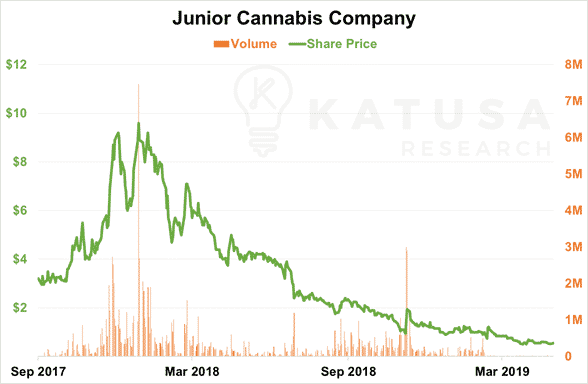 junior cannabis company