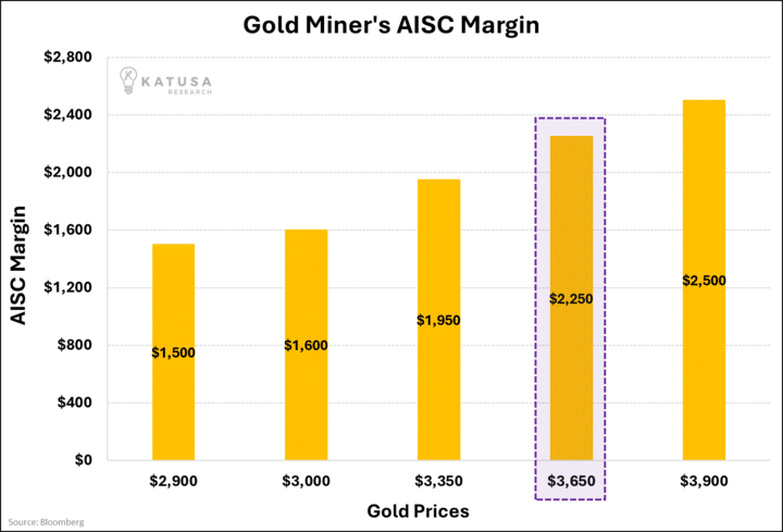 Gold Miner’s AISC Margin